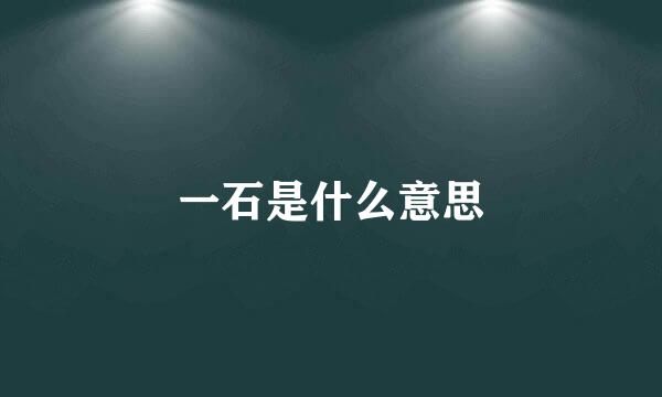 一石是什么意思