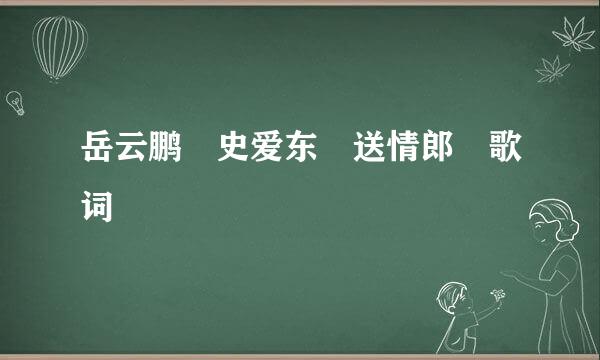 岳云鹏 史爱东 送情郎 歌词