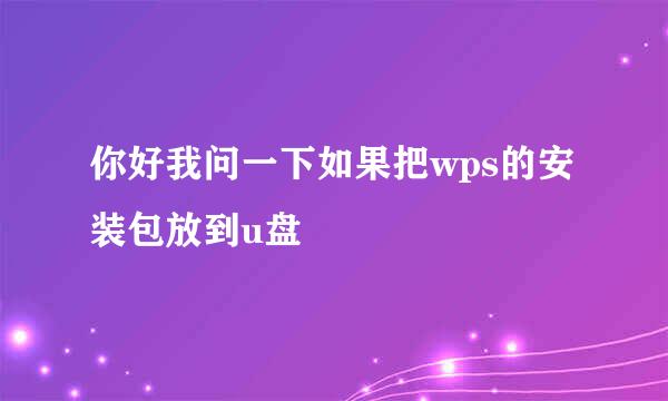 你好我问一下如果把wps的安装包放到u盘