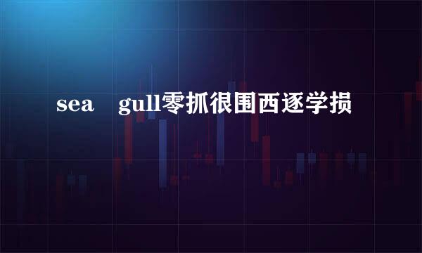 sea gull零抓很围西逐学损