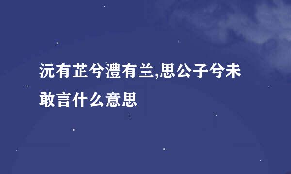 沅有芷兮澧有兰,思公子兮未敢言什么意思