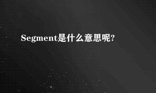 Segment是什么意思呢?