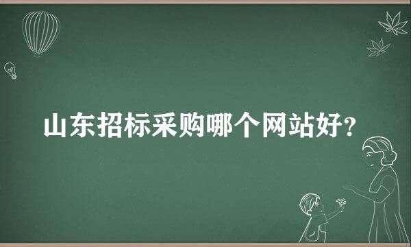 山东招标采购哪个网站好？