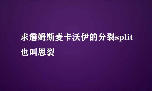 求詹姆斯麦卡沃伊的分裂split也叫思裂