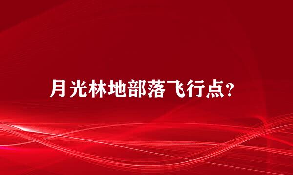 月光林地部落飞行点？