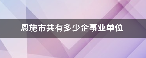 恩施老市共有多少企事业单位