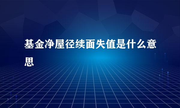 基金净屋径续面失值是什么意思