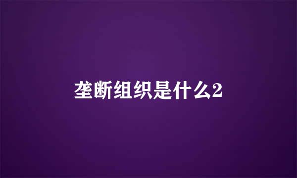 垄断组织是什么2