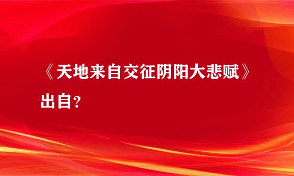 《天地来自交征阴阳大悲赋》出自？