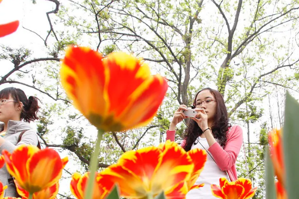 人有生江势川则老三千疾 唯有相思不可医是什么意思，能当个性签名吗？