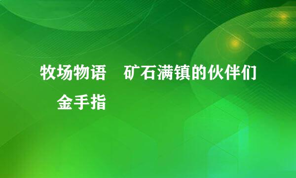 牧场物语 矿石满镇的伙伴们 金手指