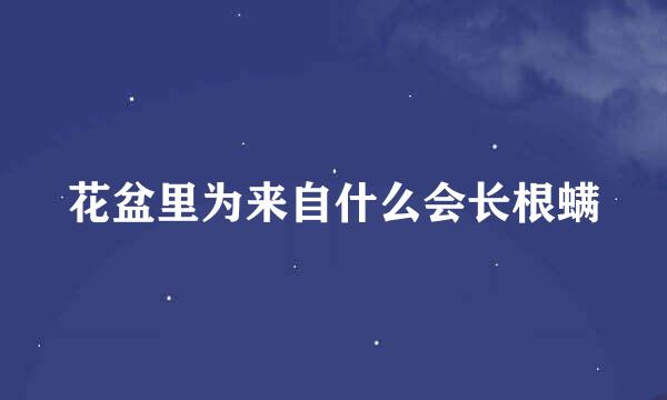 花盆里为来自什么会长根螨