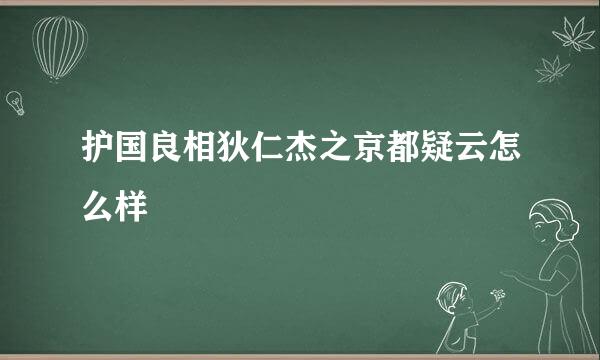 护国良相狄仁杰之京都疑云怎么样