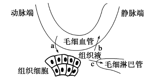 内环境的成分有什么？