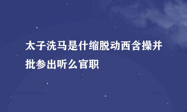 太子洗马是什缩脱动西含操并批参出听么官职