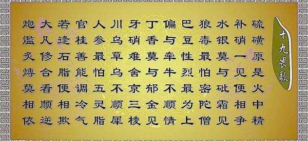 十九畏歌诀是什么意思？