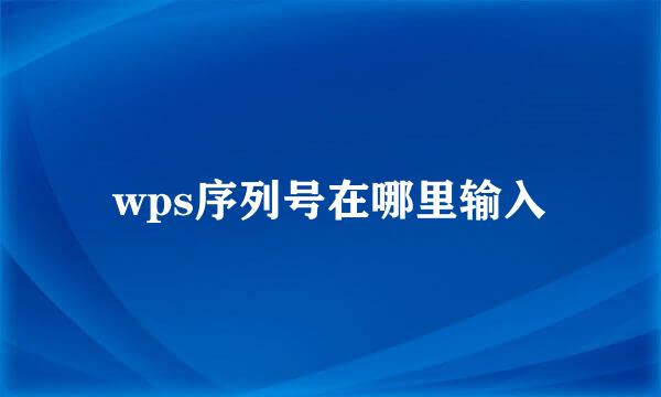 wps序列号在哪里输入