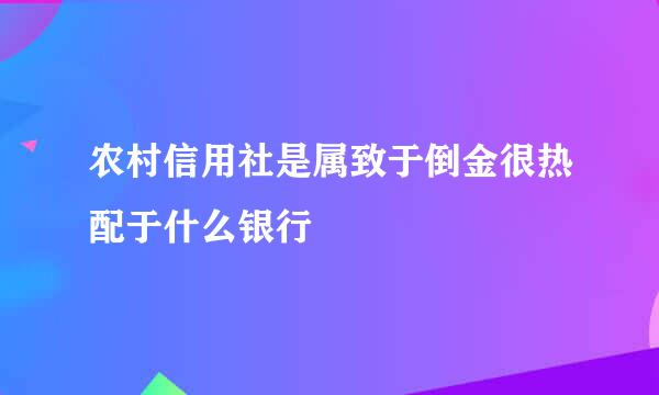 农村信用社是属致于倒金很热配于什么银行