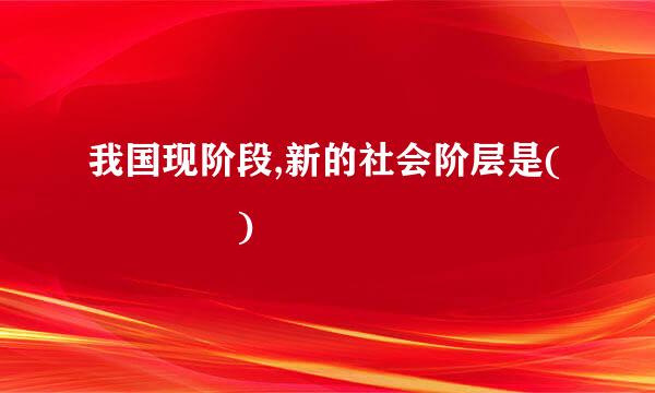 我国现阶段,新的社会阶层是(    )