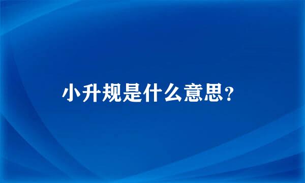 小升规是什么意思？