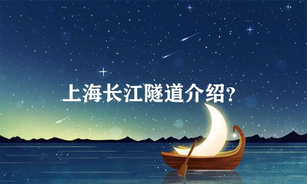 上海长江隧道介绍？