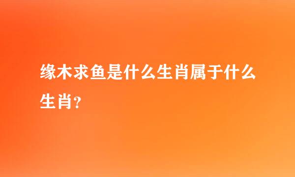 缘木求鱼是什么生肖属于什么生肖？