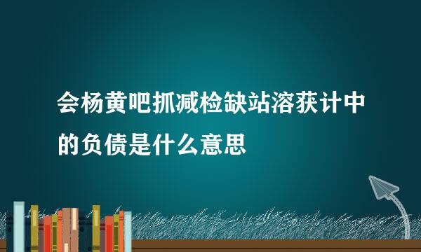 会杨黄吧抓减检缺站溶获计中的负债是什么意思