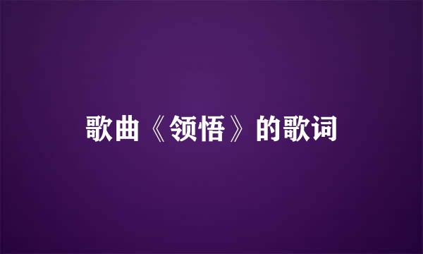 歌曲《领悟》的歌词