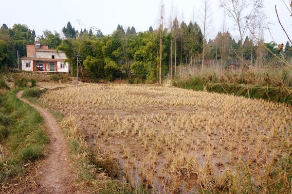 土地评估机构资质