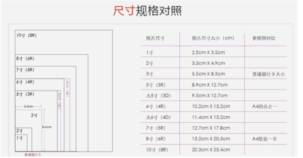 照片乐背鲁因的尺寸是多少？