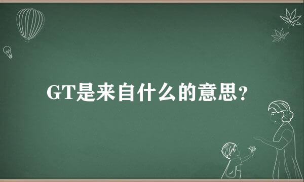 GT是来自什么的意思？