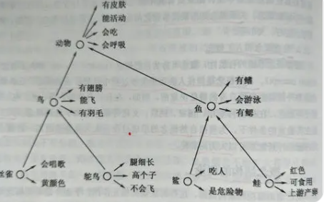 什么是种属关系？来自