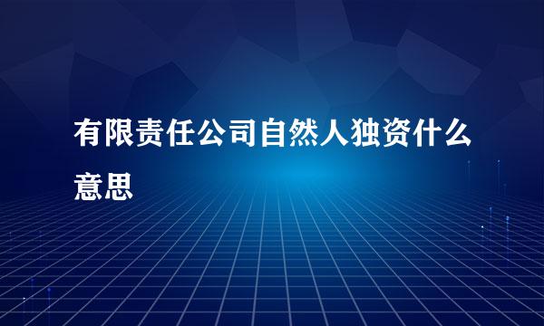 有限责任公司自然人独资什么意思