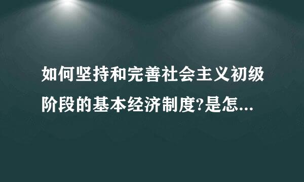 如何坚持和完善社会主义初级阶段的基本经济制度?是怎样的原理。