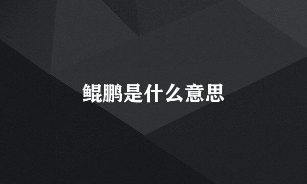 鲲鹏是什么意思