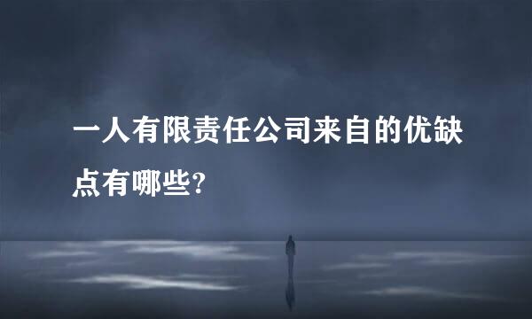 一人有限责任公司来自的优缺点有哪些?