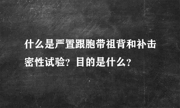 什么是严置跟胞带祖背和补击密性试验？目的是什么？