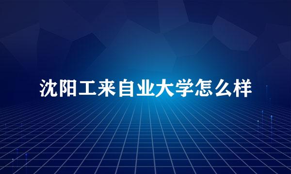 沈阳工来自业大学怎么样