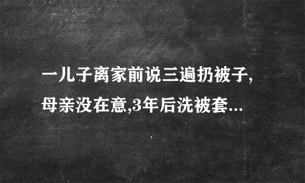 一儿子离家前说三遍扔被子,母亲没在意,3年后洗被套时懵了是什么小说