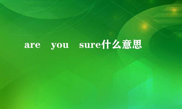 are you sure什么意思