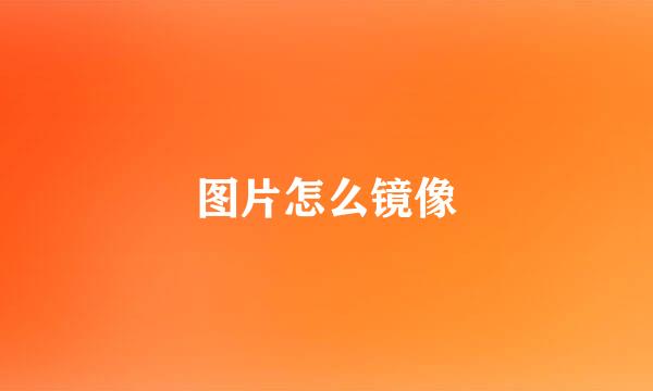 图片怎么镜像