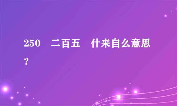 250 二百五 什来自么意思？