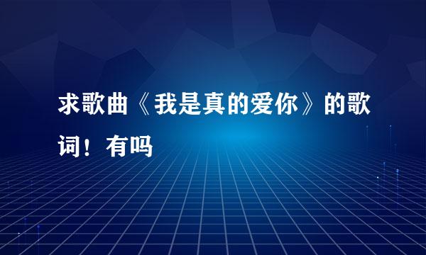 求歌曲《我是真的爱你》的歌词！有吗