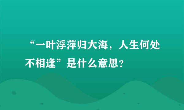 “一叶浮萍归大海，人生何处不相逢”是什么意思？