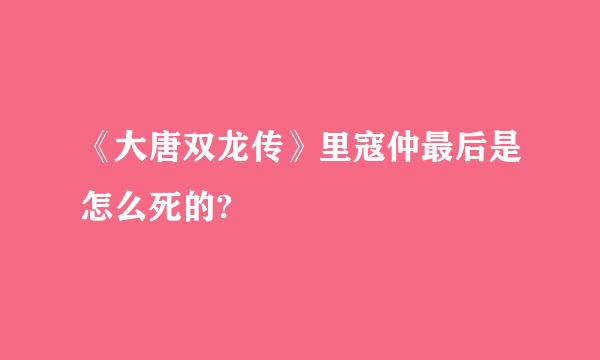 《大唐双龙传》里寇仲最后是怎么死的?