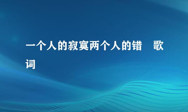 一个人的寂寞两个人的错 歌词