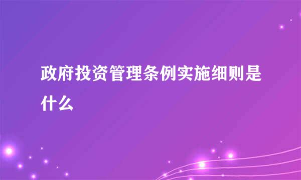 政府投资管理条例实施细则是什么