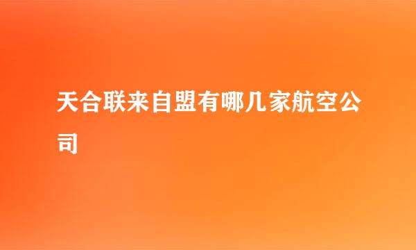 天合联来自盟有哪几家航空公司