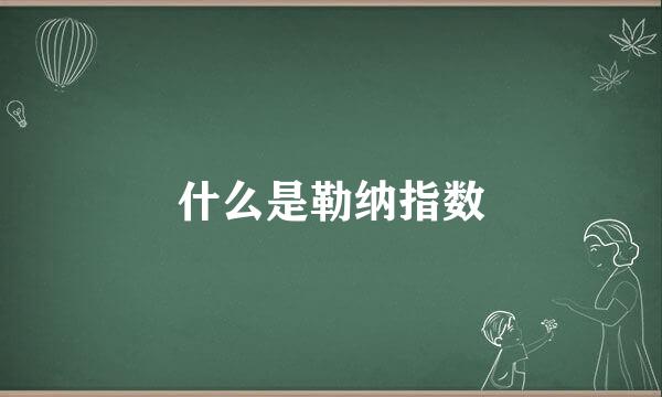 什么是勒纳指数