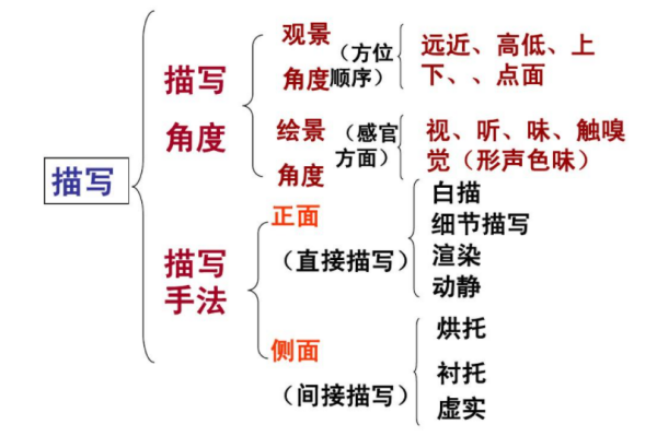 描写手法的答题格式